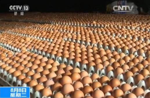 央視曝光：千萬顆“毒雞蛋”大鬧歐洲波及七國，會流入中國嗎？國家質(zhì)檢總局這樣回應(yīng) 