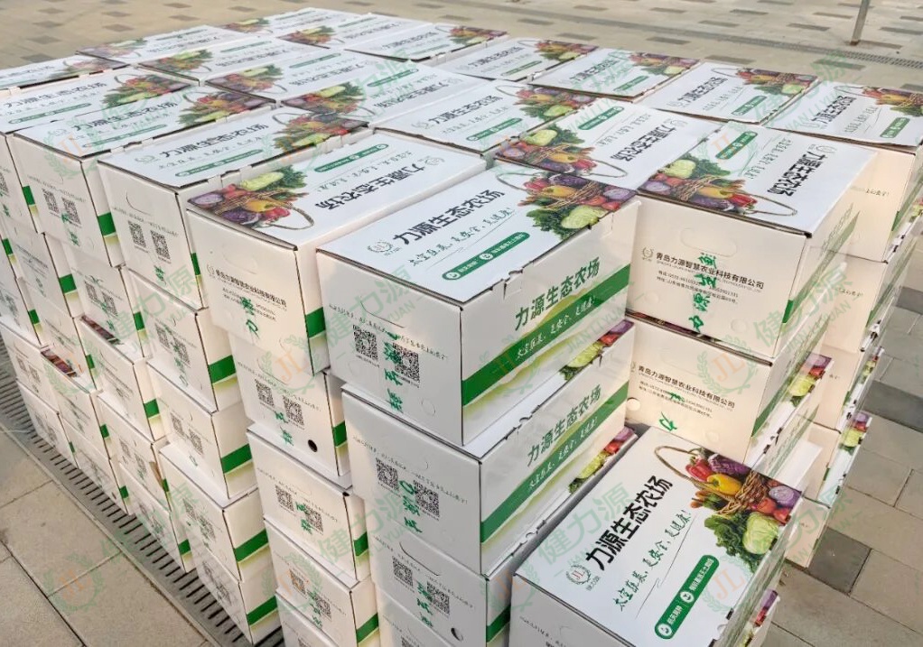 整裝待發(fā)的力源蔬菜禮盒 (1).jpg