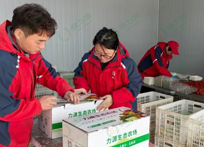 農(nóng)場(chǎng)員工正在打包蔬菜禮盒 (1).jpg